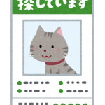 失踪宣告(しっそうせんこく)